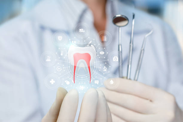 Thomasville, AL Holistic Dental Care Services Company